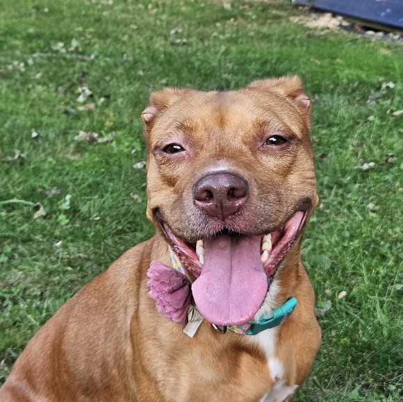 Meet your Posher, Kelly - Picture 4 of 4